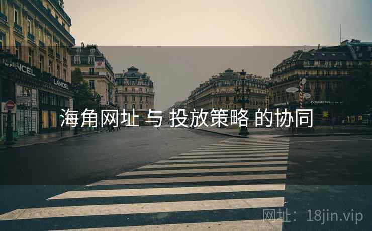 海角网址 与 投放策略 的协同