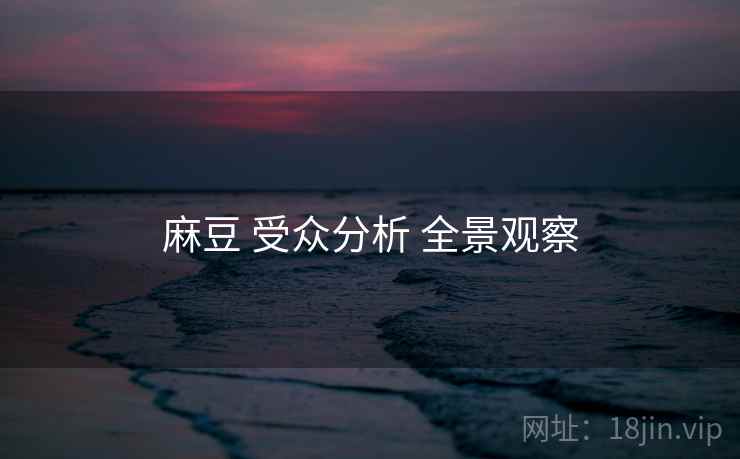 麻豆 受众分析 全景观察