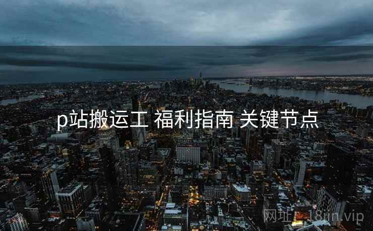 p站搬运工 福利指南 关键节点