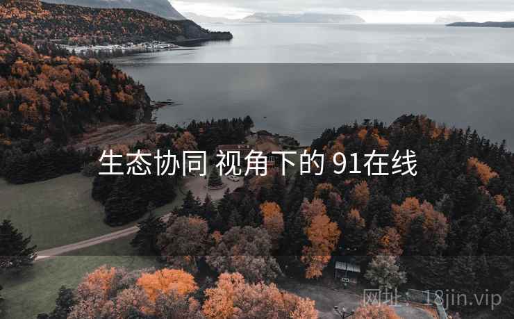 生态协同 视角下的 91在线