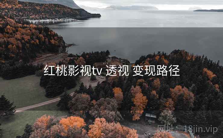 红桃影视tv 透视 变现路径