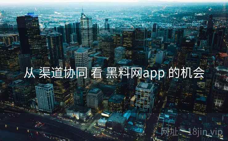 从 渠道协同 看 黑料网app 的机会