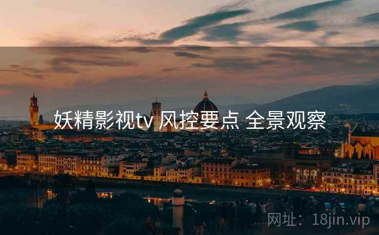 妖精影视tv 风控要点 全景观察