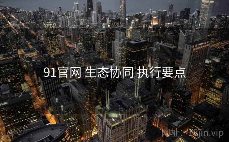 91官网 生态协同 执行要点