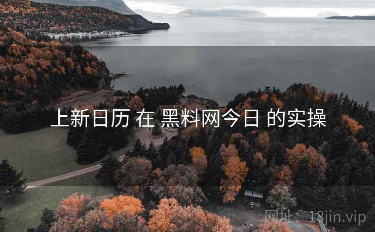上新日历 在 黑料网今日 的实操