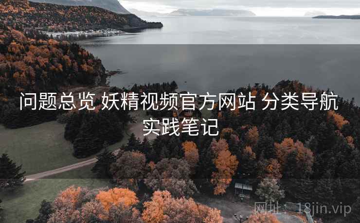 问题总览 妖精视频官方网站 分类导航 实践笔记
