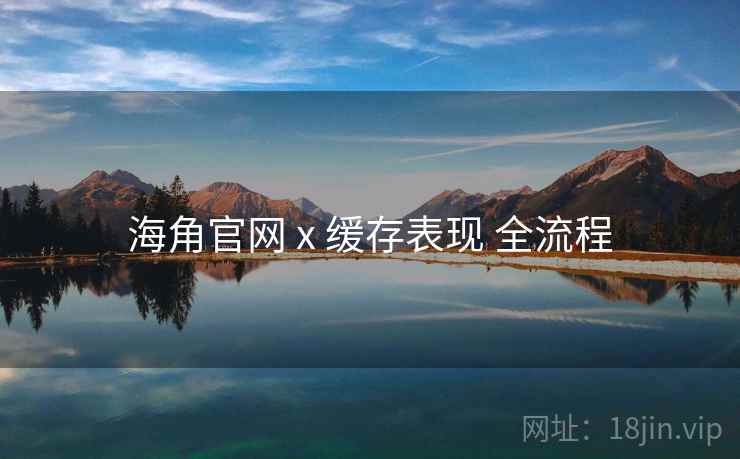海角官网 x 缓存表现 全流程