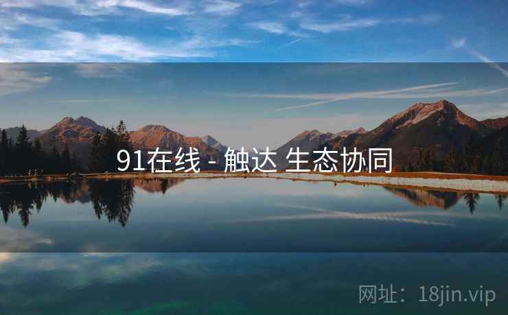91在线 - 触达 生态协同