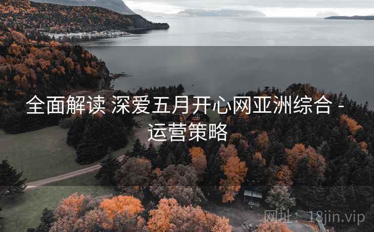 全面解读 深爱五月开心网亚洲综合 - 运营策略