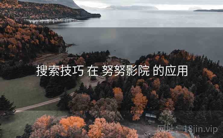 搜索技巧 在 努努影院 的应用