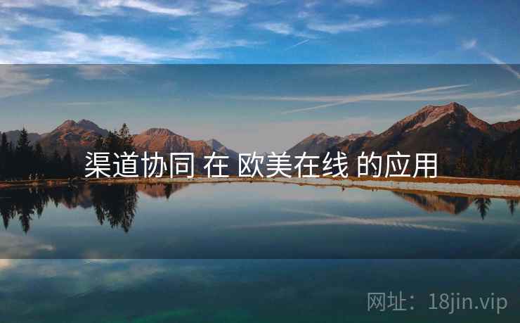 渠道协同 在 欧美在线 的应用